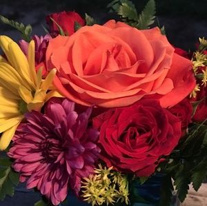 Meet your Posher, Jade